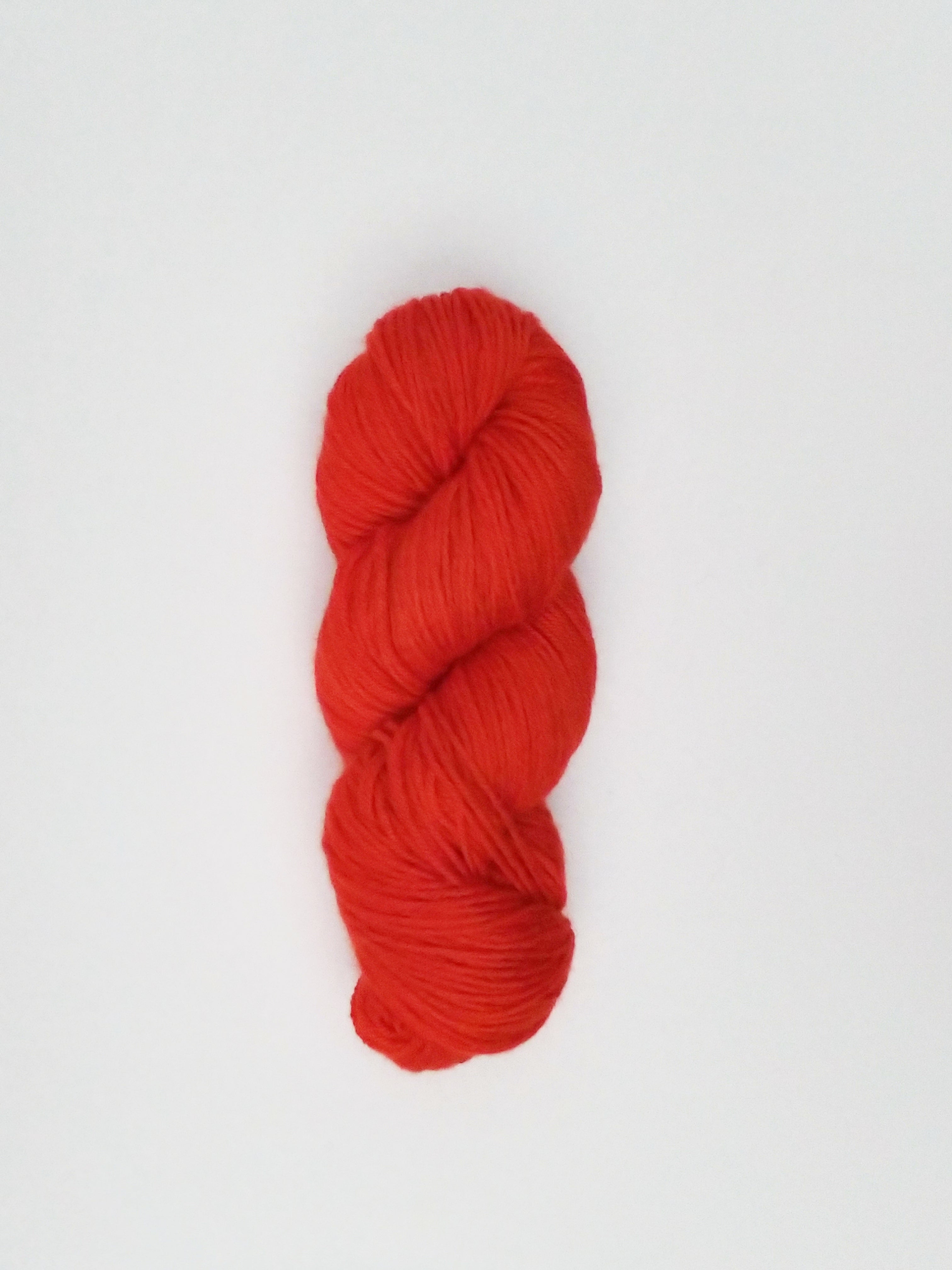 The Knit Apothecary BFL Worsted Yarn